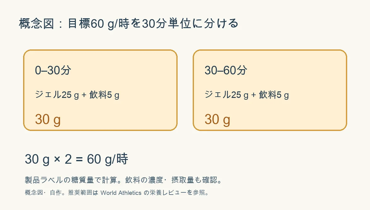 概念図。30分ごとに糖質25 gのジェルと飲料由来5 gを取ると合計60 g毎時になる計算