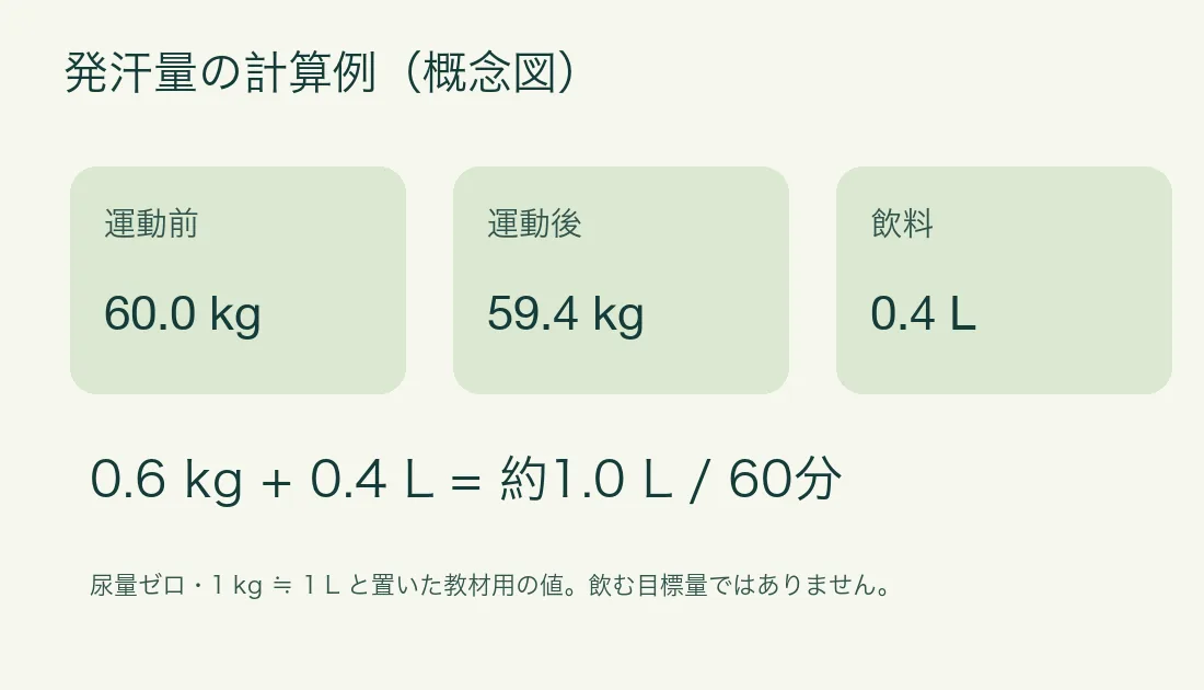 概念図：運動前60.0kg、運動後59.4kg、飲料0.4Lなら60分の発汗量の概算は約1.0L