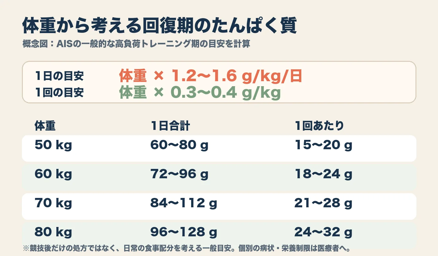 概念図：体重50kgから80kgまでの1日と1回当たりのたんぱく質量を計算した表
