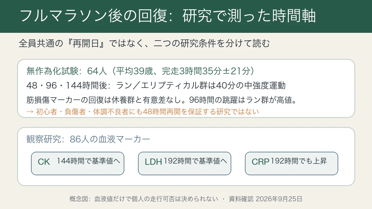 フルマラソン後48時間から192時間まで、無作為化試験の運動時点と血液マーカーの回復時点を分けて示す概念図