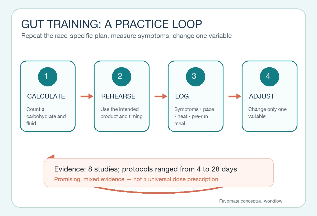 Conceptual gut-training loop: set a race-specific fuel target, repeat it in selected long runs, log symptoms and adjust one variable