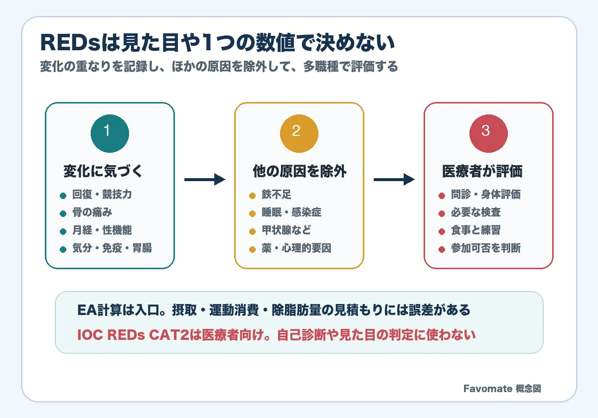 REDsを見た目や単一の数値で決めず、変化を記録し、ほかの原因を除外し、多職種で評価する流れを示す概念図